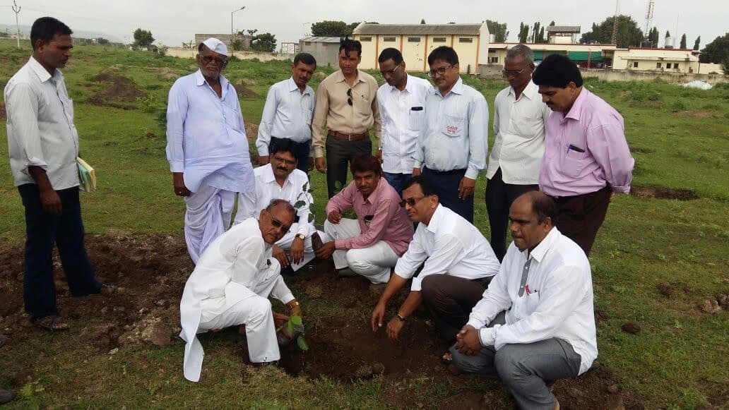 वृक्षारोपण करताना